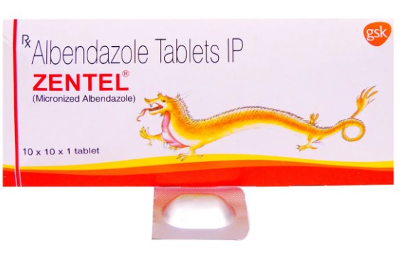 アルベンダゾール400mg ZENTEL  1箱 100錠大容量 GSK製 4,240円〜