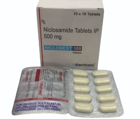 ★ニクロベスト(niclobest )500mg大容量100錠★ 3,100円〜